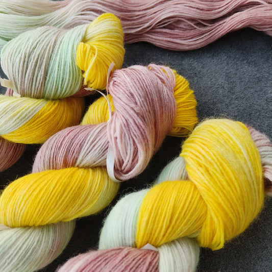 Hand-Dyed Sock Yarn | N•14 | 100g